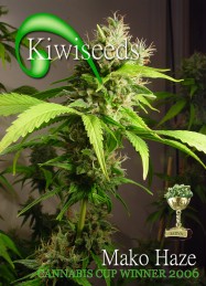 mako_haze mako_haze