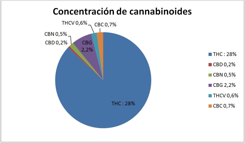 Concentración de cannabinoides de Girl Scout Cookies
