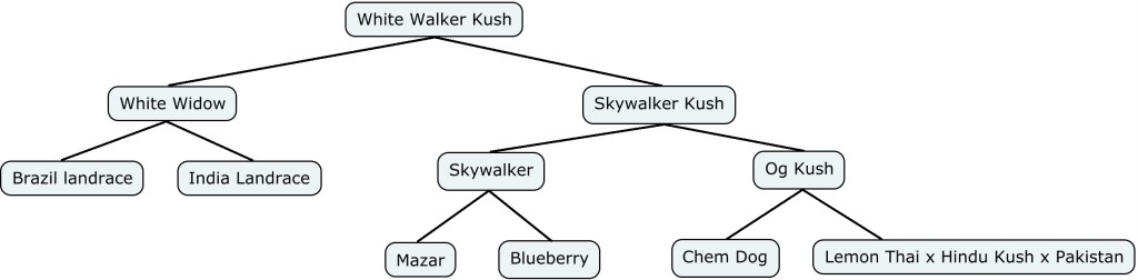 Mapa genético de White Walker Kush