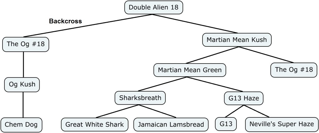 Mapa genético de Double Alien 18