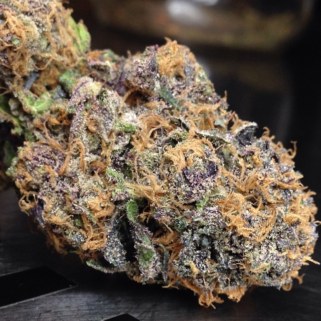 Marihuana Purple Urkle
