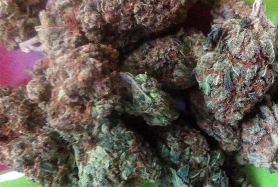 Bubble Cheese, Foto de Leafly
