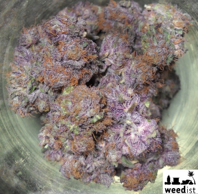 Cogollos de Grape Ape de Apothecary Genetics