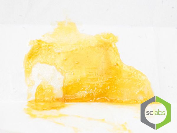 extracción ganadora Critical jack
