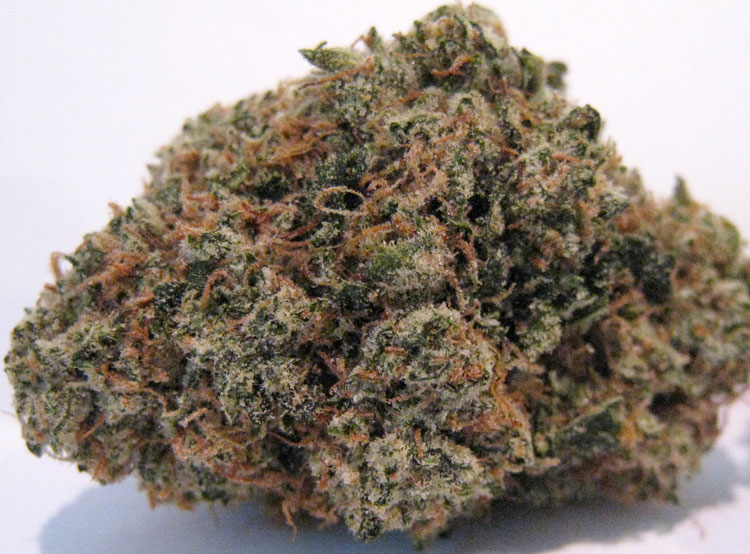 Gist Og Kush