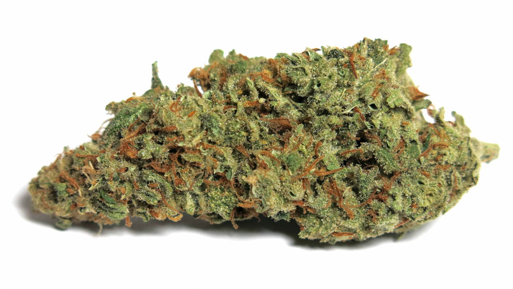 Cannabis Red Dragon