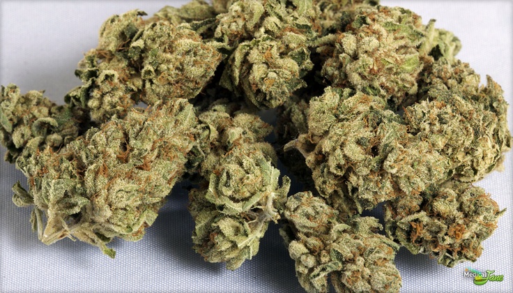 Marihuana Rollex Og Kush