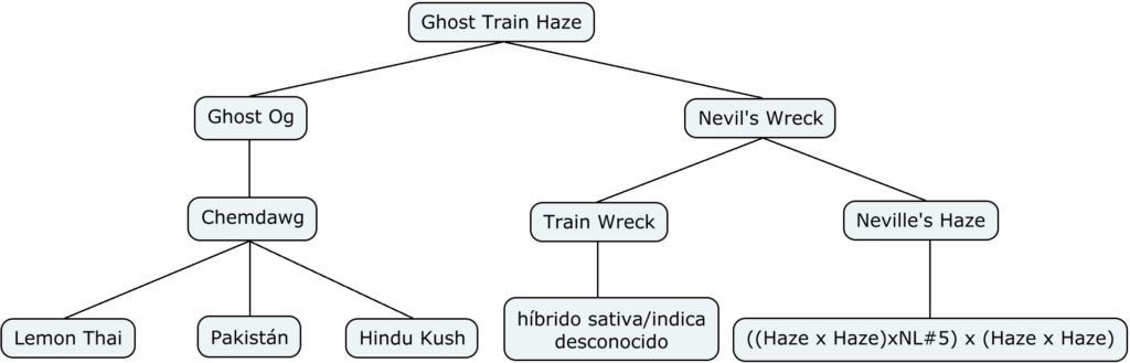 Mapa genético de Ghost Train Haze #1
