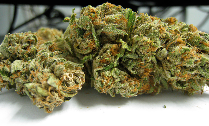 Marihuana Ghost Og