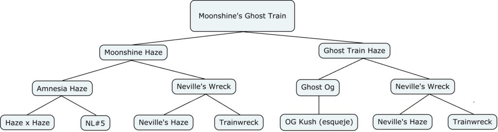Mapa genético de moonshine's ghost train