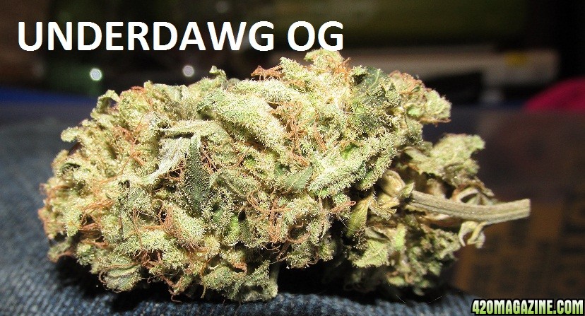 Cogollo seco de underdawg kush