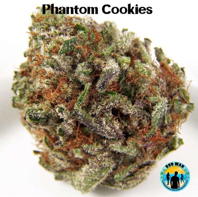 Phantom Cookies cogollo seco