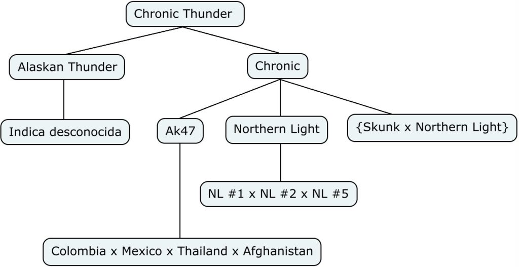 Mapa genético de Chronic Thunder