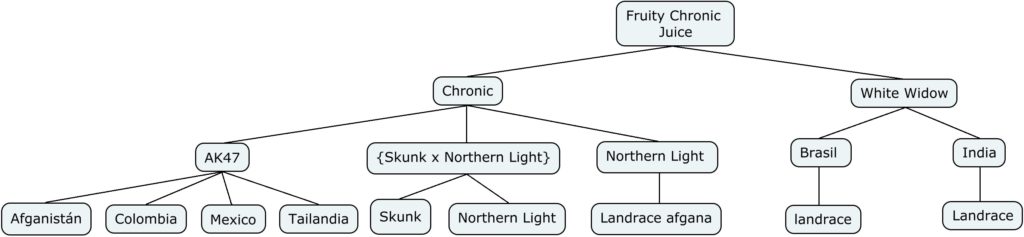 Mapa genético de Fruity Chronic Juice