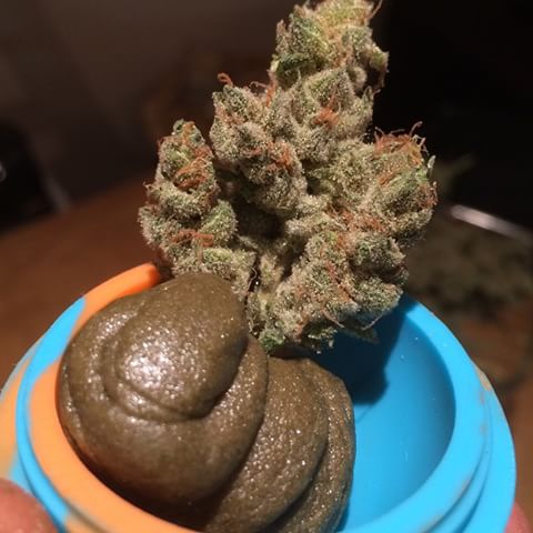 Nicole hash