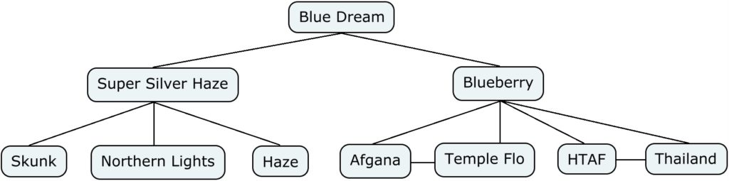 cmap blue dream