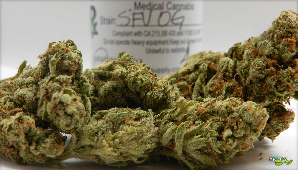 SFV Og Kush de The Cali ConnectionSFV Og Kush de The Cali Connection