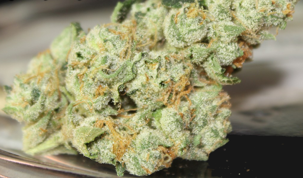 Marihuana Banana OG